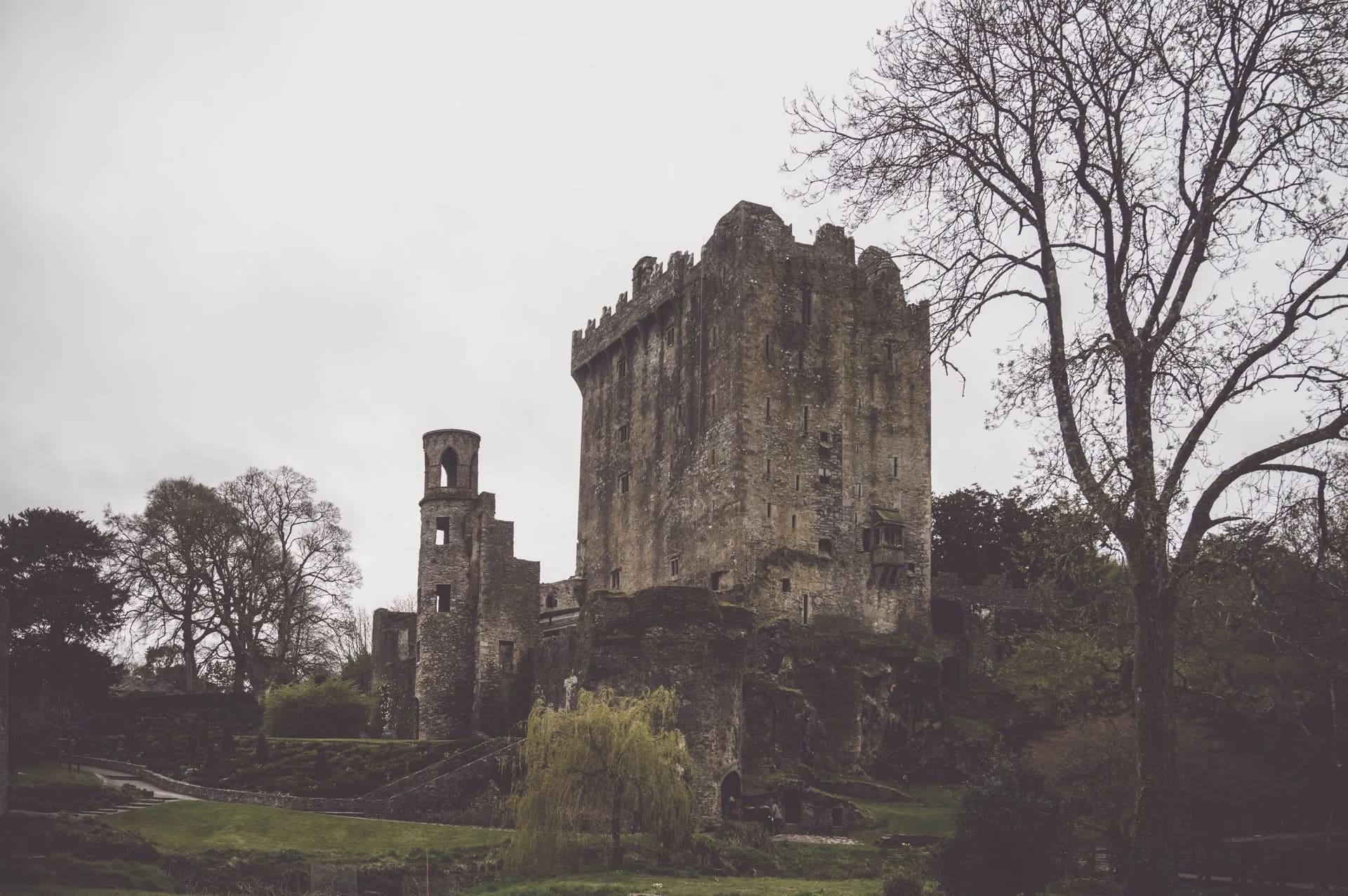 A silhouette of a cat in a field with the words a paranormal experience after kissing the blarney stone