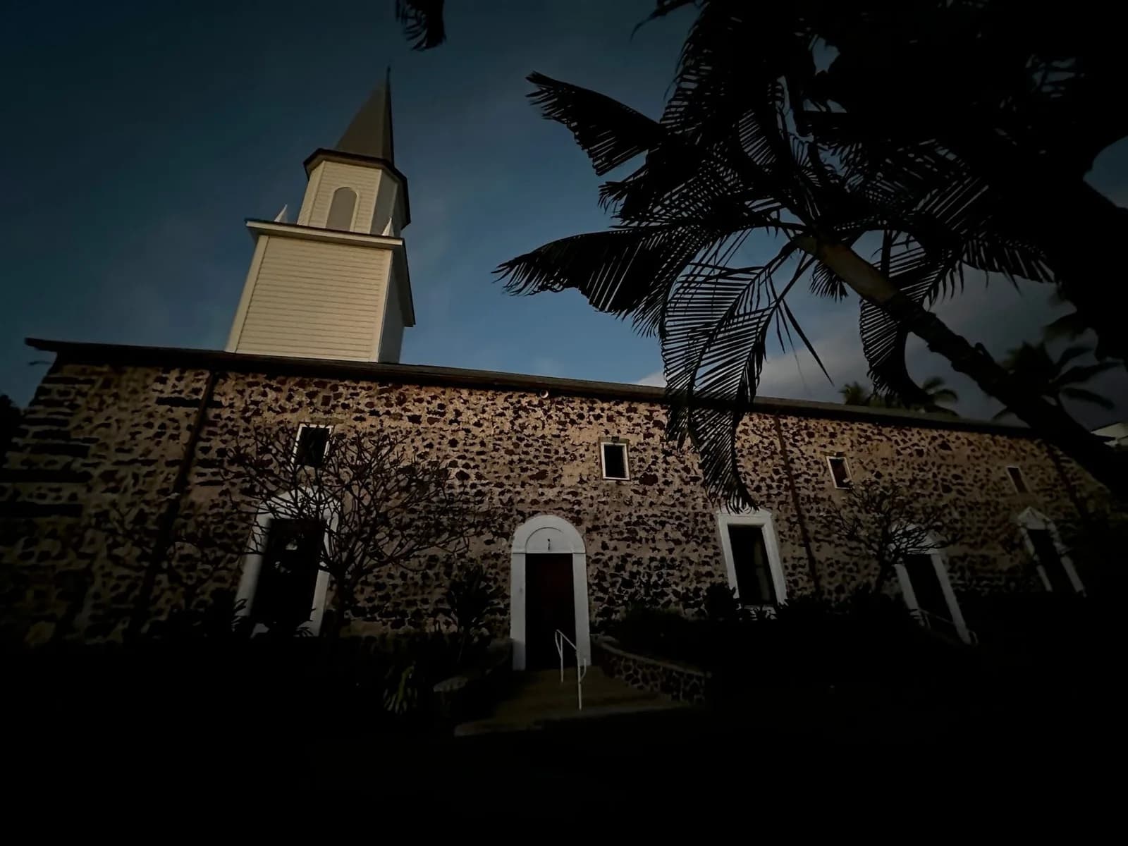 A church with a steeple and a palm tree in front of it