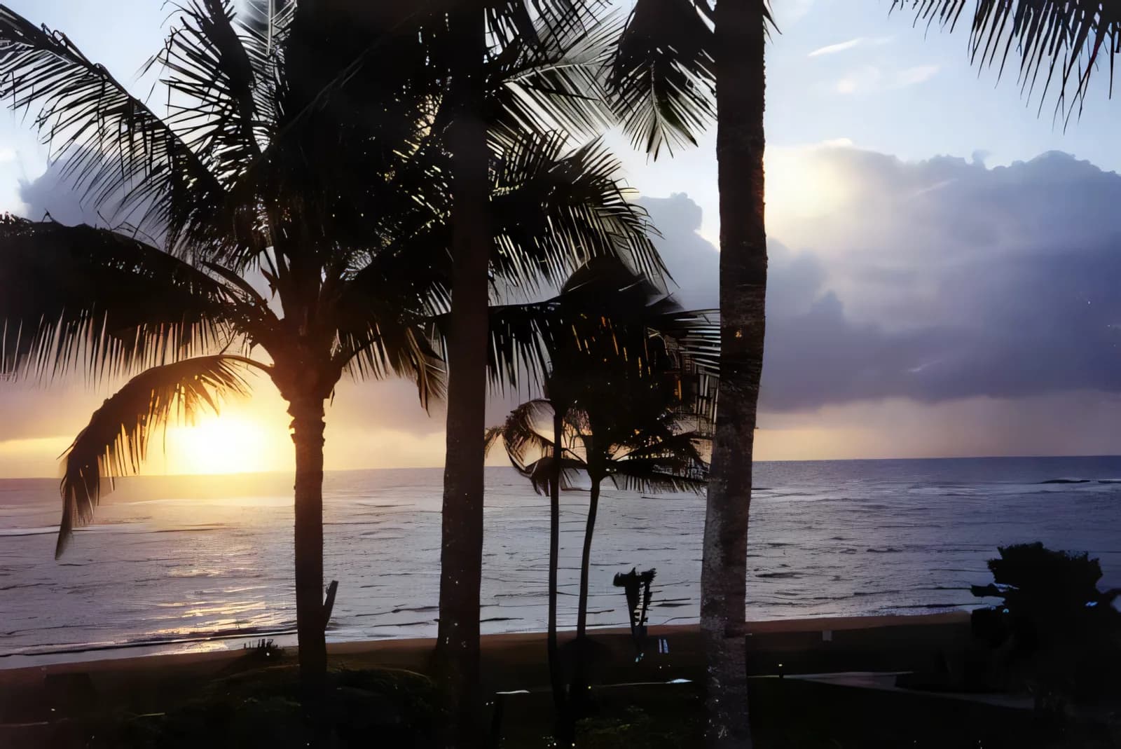 A sunset over the ocean with palm trees in the foreground
