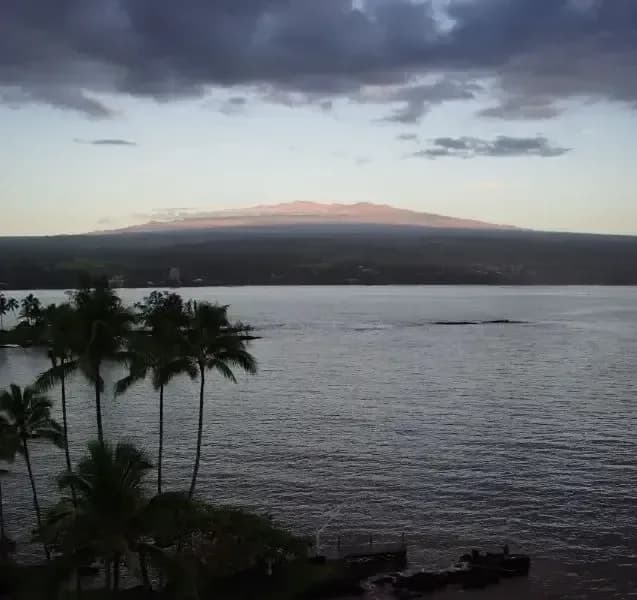 A large body of water with palm trees in the foreground