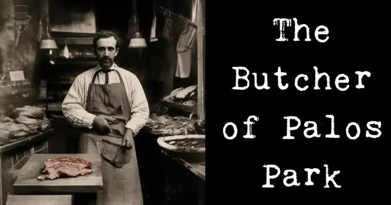 The Butcher of Palos Park