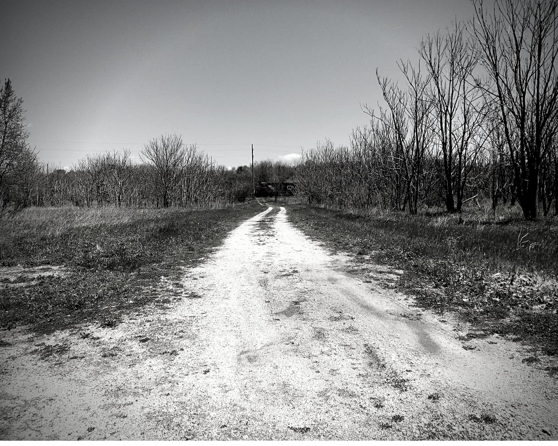 The Haunting of Joliet Prison: A black and white photo of a dirt road going through a field