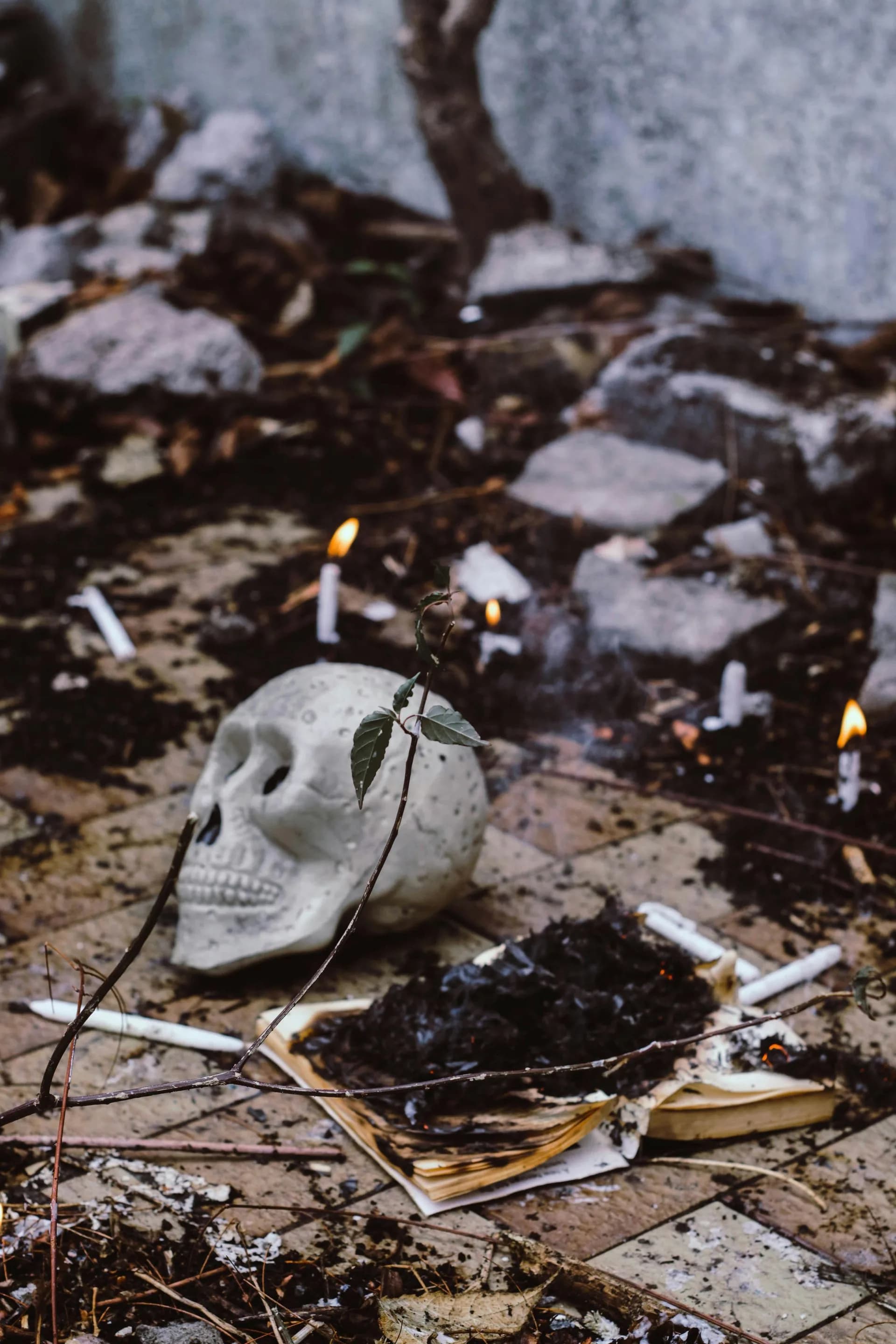 Birthplace of Jazz & History of Voodoo in New Orleans