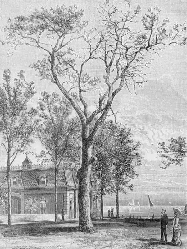 The Massacre Tree and Chicago’s Haunting Fort Dearborn Past