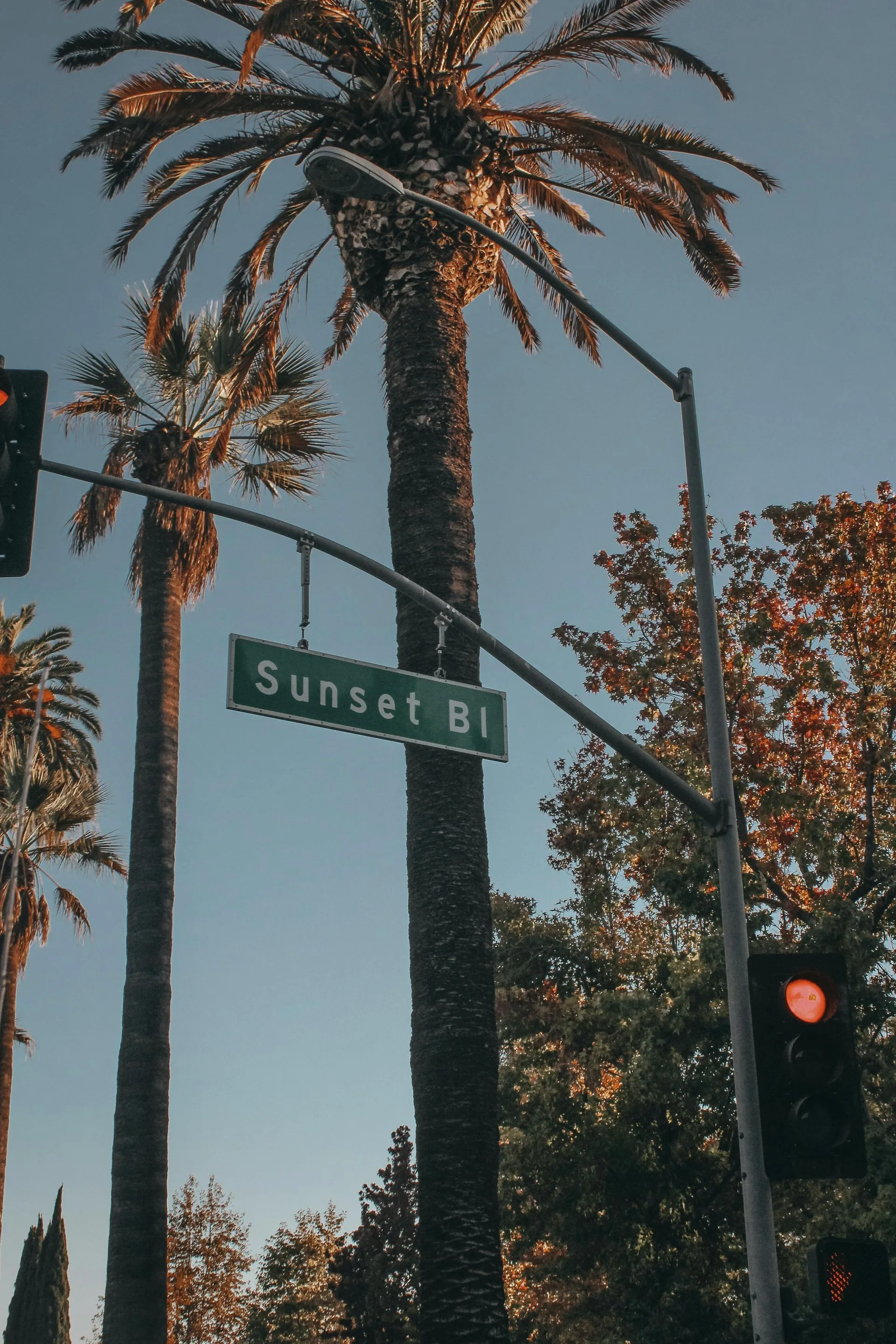 The Sunset Strip Killers: How Doug Clark and Carol Bundy Turned Hollywood Dreams into Nightmares
