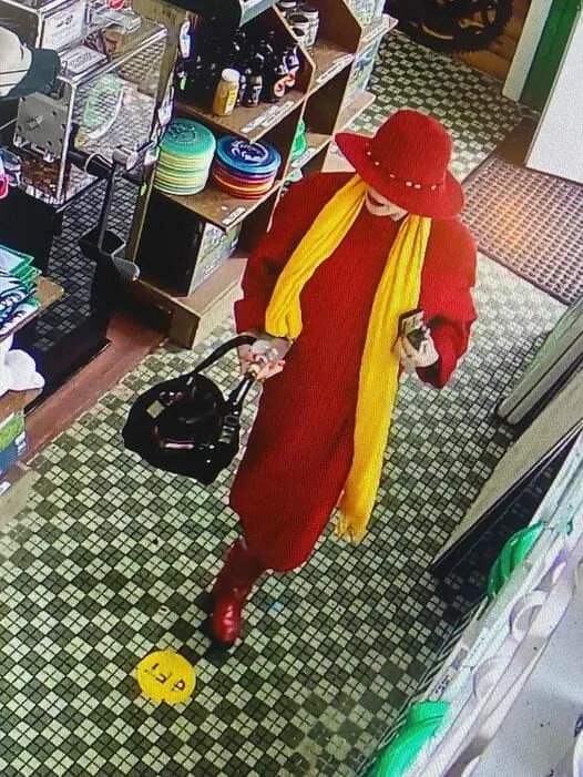 Rhinelander’s Hodag Store Robbed by… Carmen Sandiego?