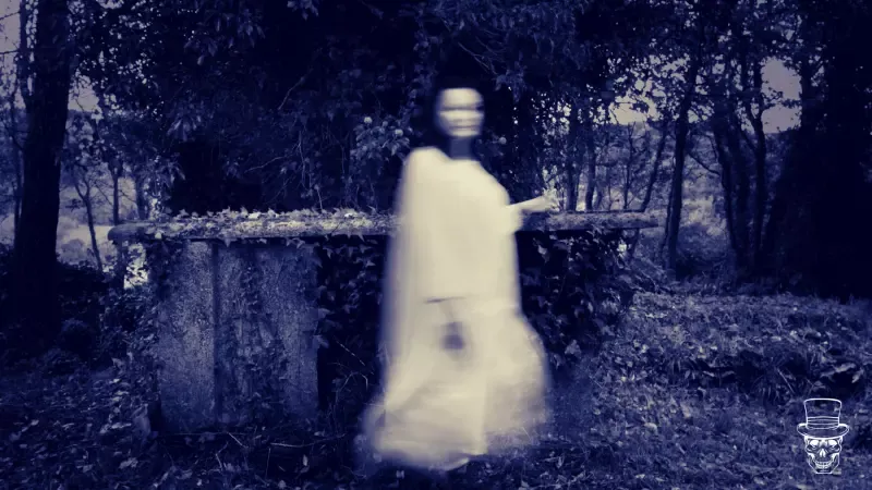 A ghost in a white dress is standing in the woods.