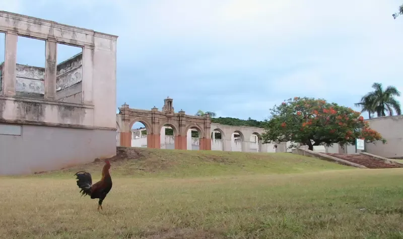 The legend of old maui high school is written on a typewriter.