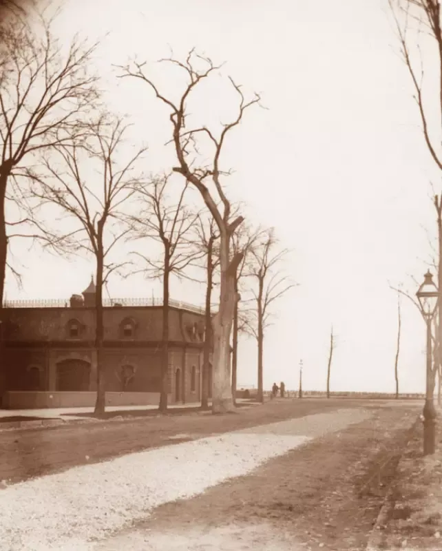 A black and white photo of trees and a building