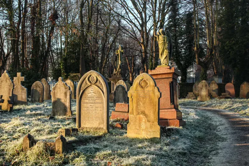 A cemetery with a lot of graves and trees in the background.