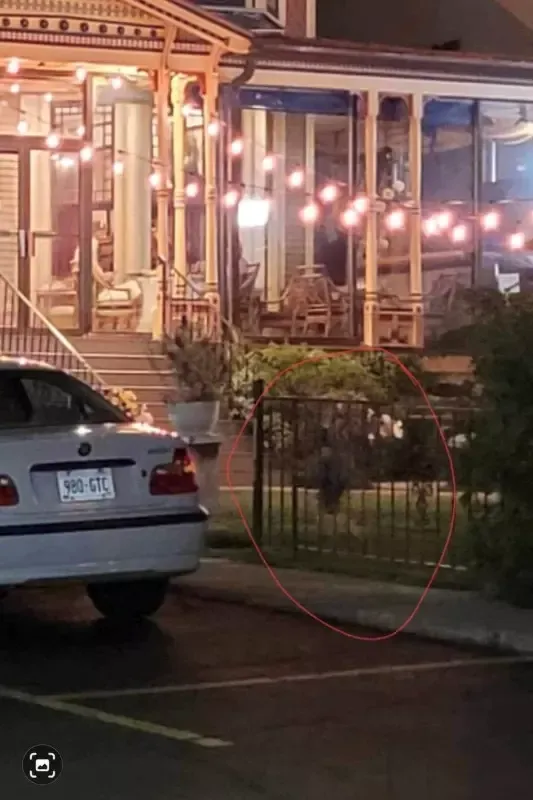 A white car is parked in front of a house