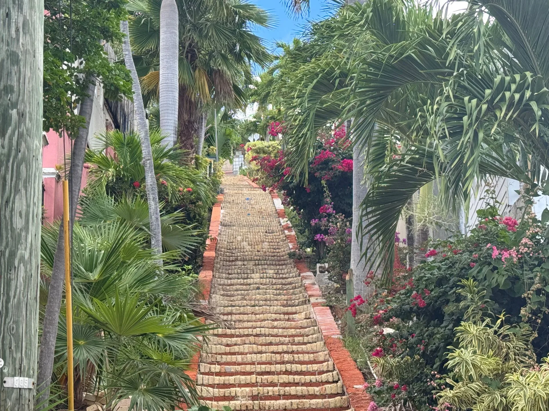 What is 99 Steps in St. Thomas? (The Real Story Behind the City's Famous Staircases)
