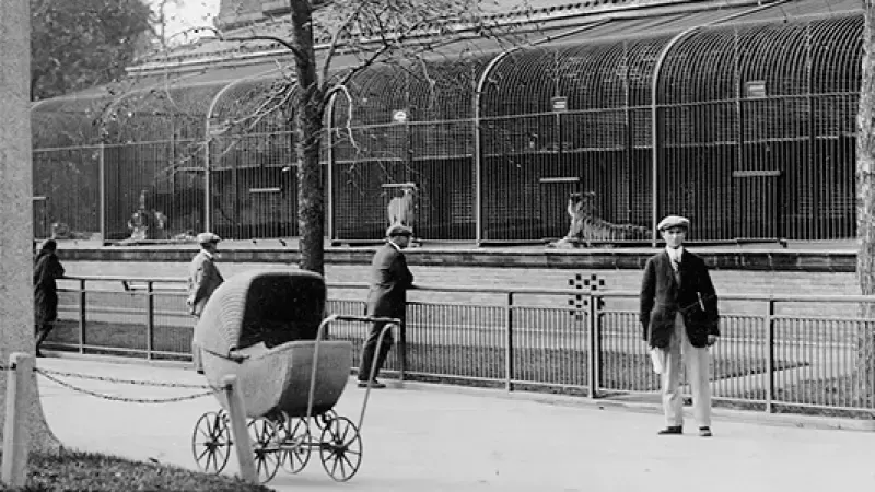 Historic Lincoln Park Zoo scene in Chicago