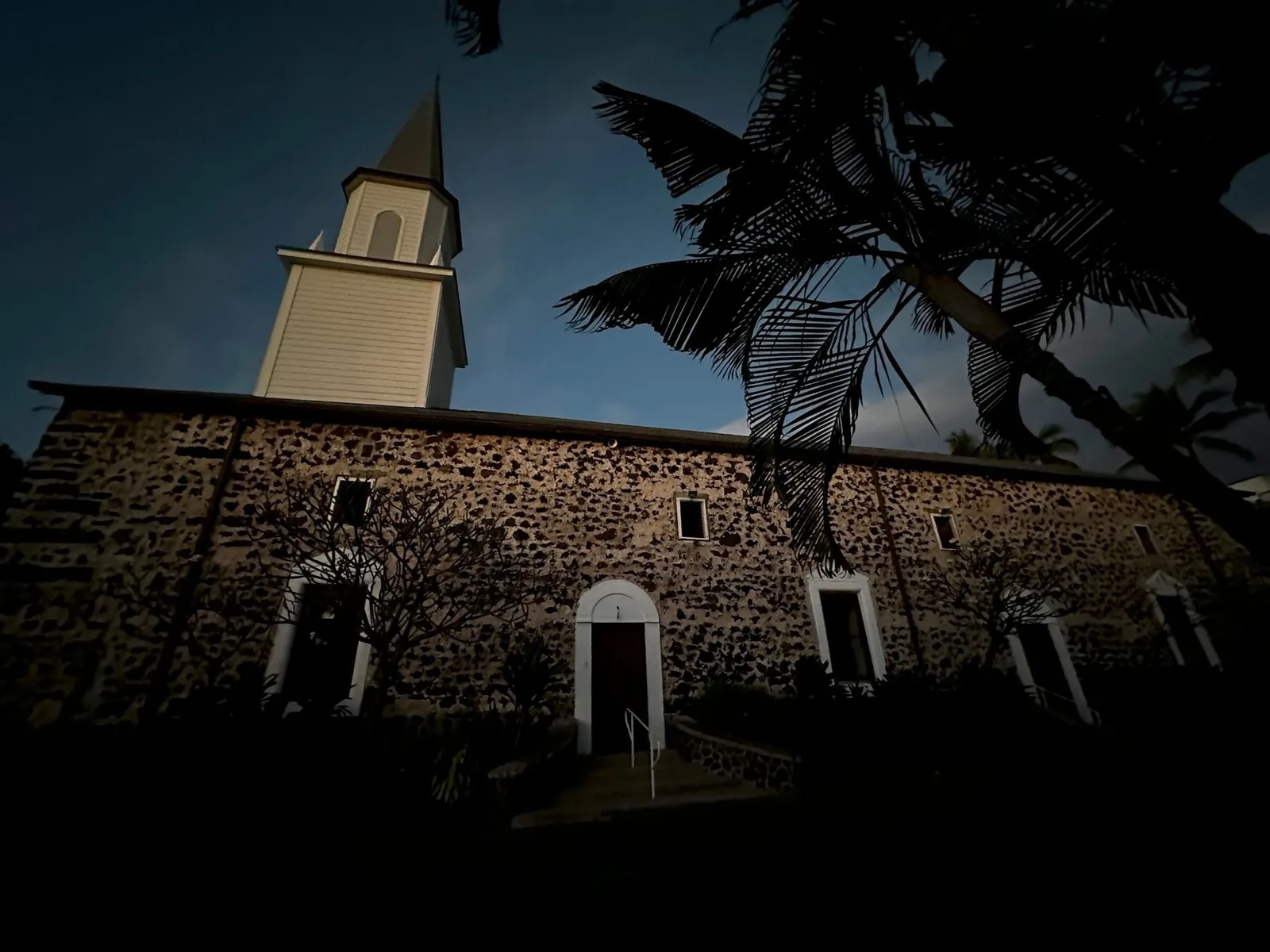 A church with a steeple and a palm tree in front of it