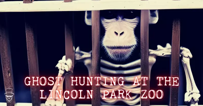 Lincoln Park Zoo Ghost Stories and Chicago’s Haunted Past
