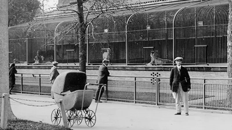 People at a zoo viewing cages with animals. A baby carriage is in the foreground. Black and white photograph.
