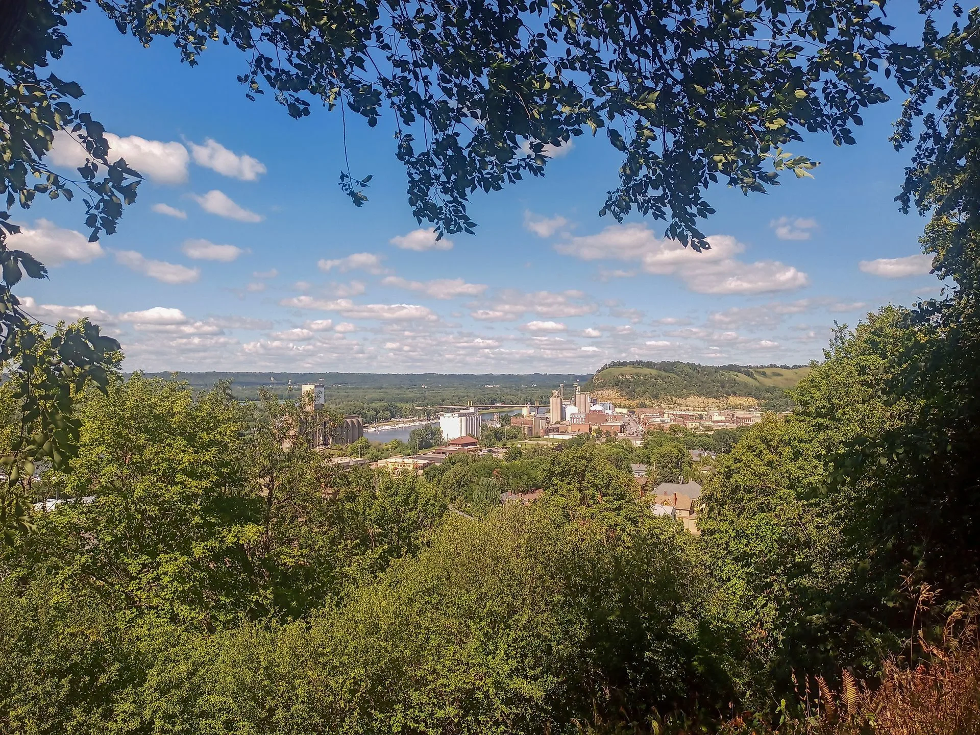 A view of a city through the trees on a sunny day